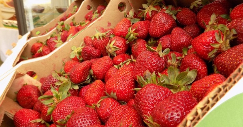 Marché de gros : les fraises vendues exclusivement aux commerçants patentés