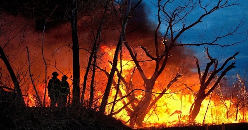 Incendie dans une forêt remplie de munitions anciennes en Allemagne
