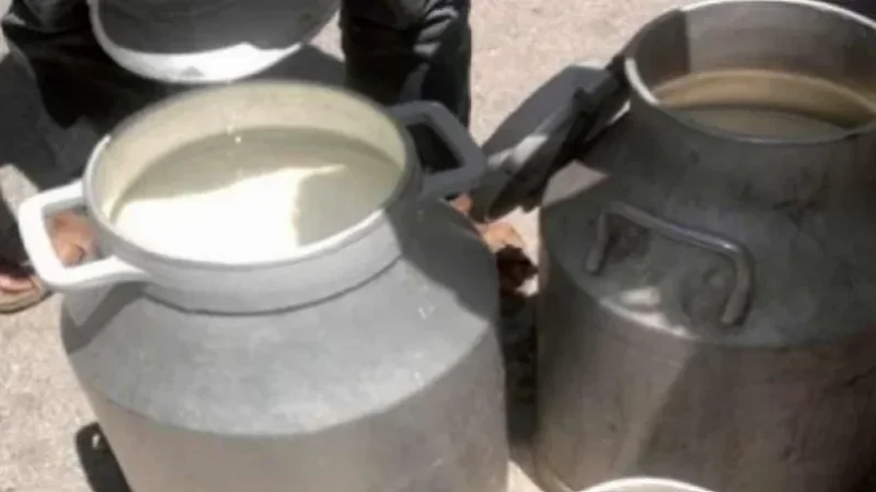 الأمن يقضي على مستودع عشوائي للحليب والأعلاف بقليبية