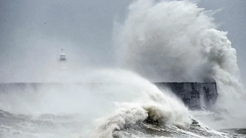 أمواج تصل 10 أمتار في نابل… البحارة يلتزمون بعدم الإبحار وتجنب الكوارث