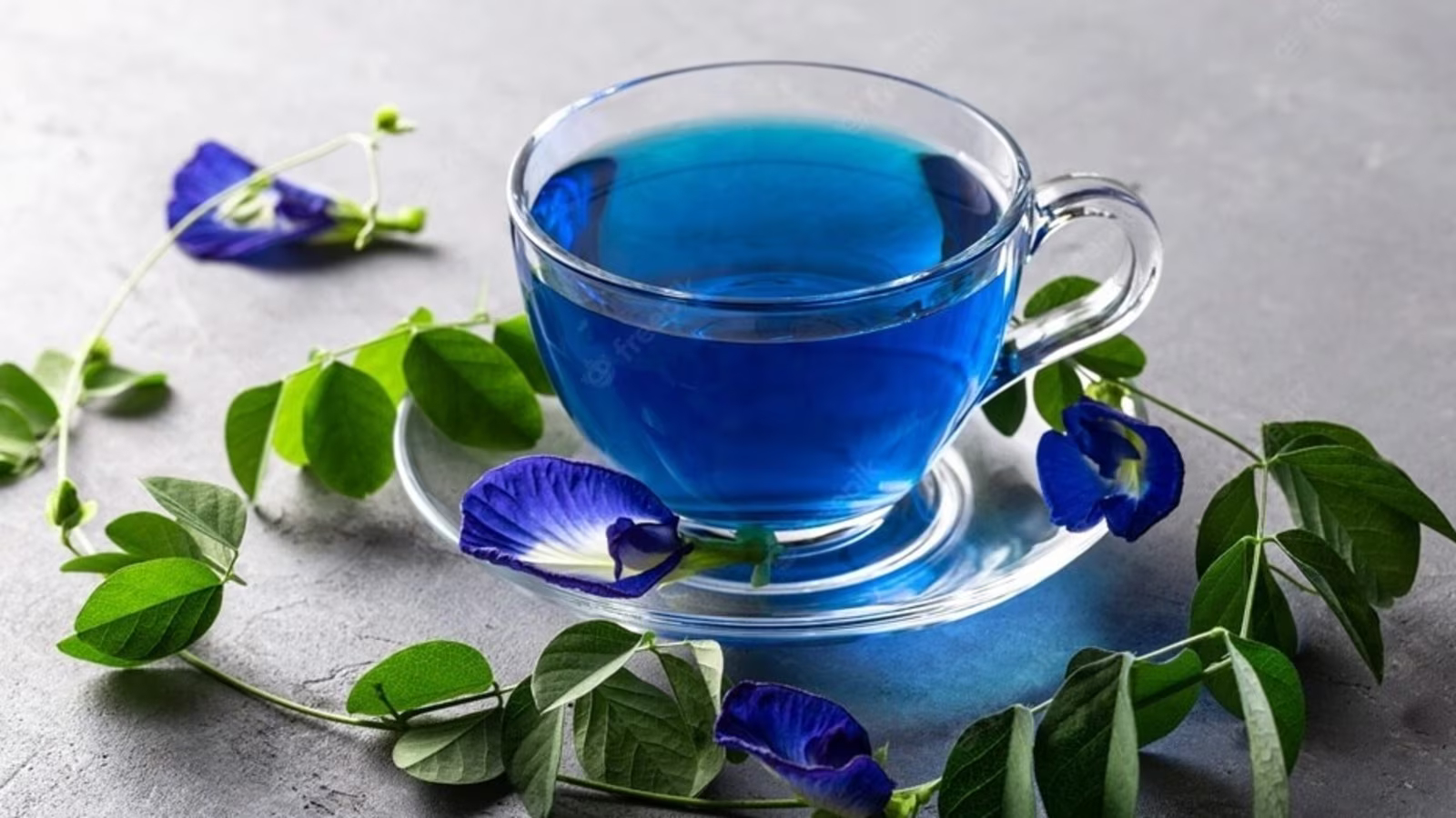 الشاي الأزرق: اكتشاف جديد لفوائد صحية مدهشة