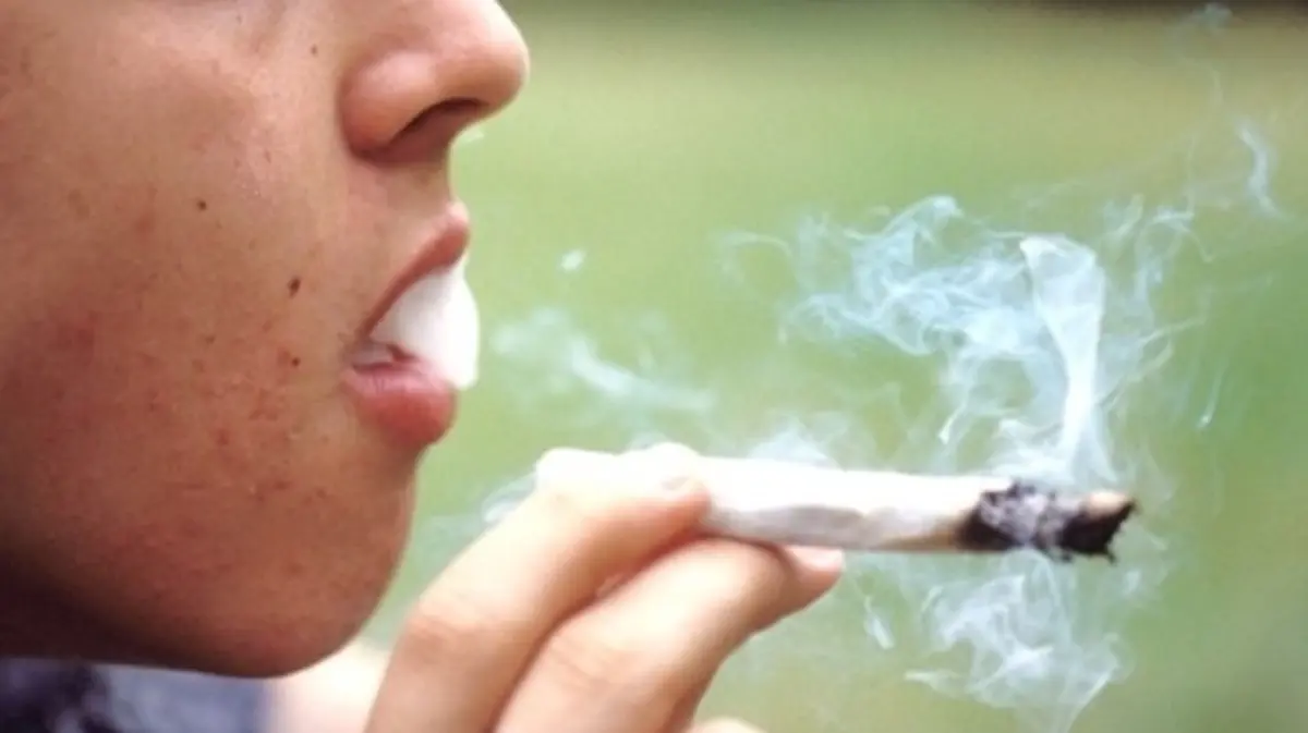 شبكات عابرة للحدود تستهدف النشء… دعوات عاجلة لمراجعة قانون المخدرات وتشديد المواجهة