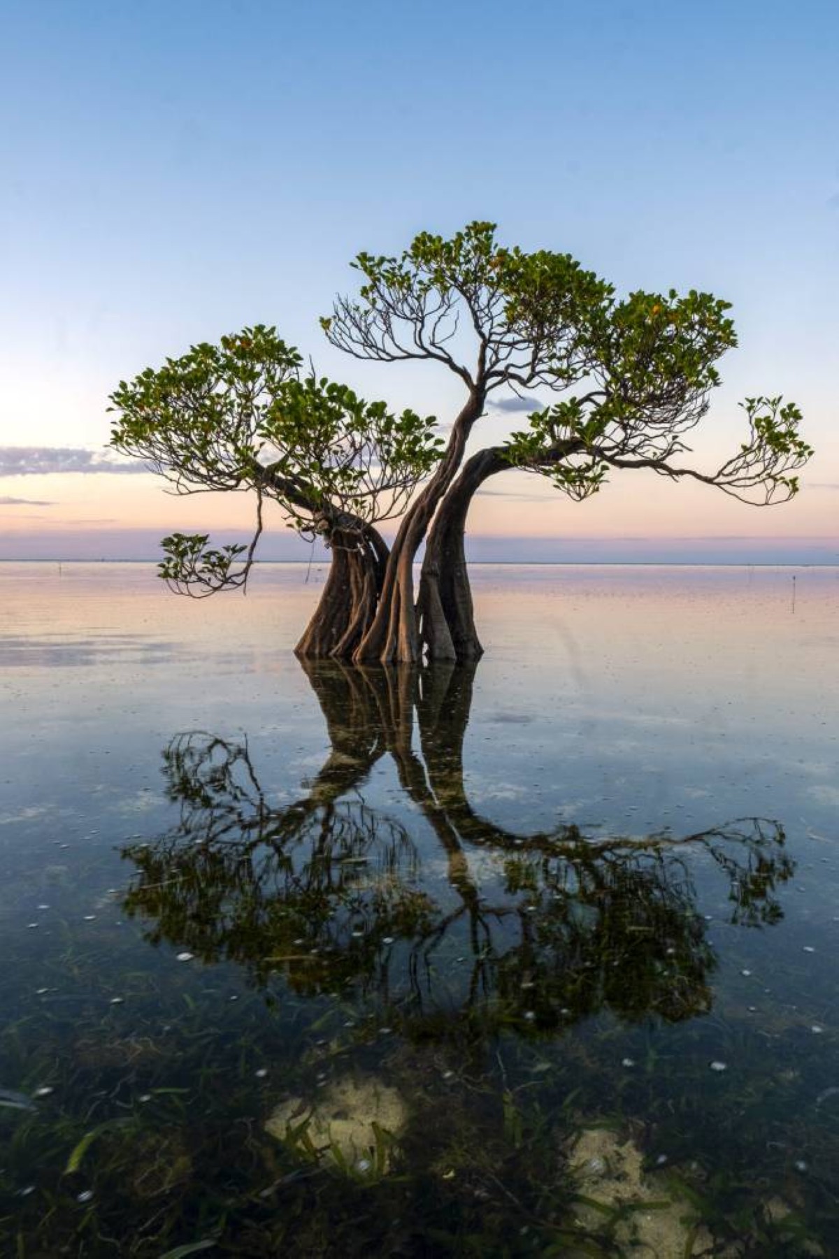 “النينيو” تلوّح في الأفق… حرارة قياسية تهدد العالم وسواحل أفريقيا في دائرة الخطر