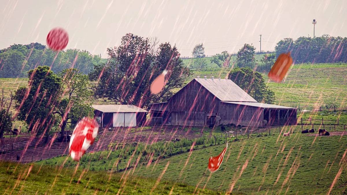 حين أمطرت السماء لحمًا… لغز «مطر اللحم» الذي حيّر أمريكا لعقود