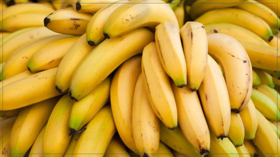 دعوة صادمة لمقاطعة اللحوم والموز: رئيس منظمة حماية المستهلك يثير الجدل