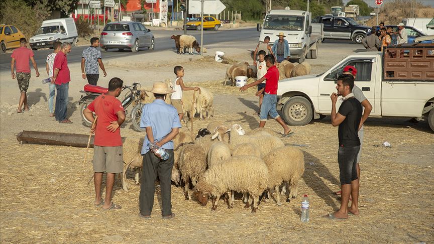 تحديد موعد عيد الأضحى في تونس: الأربعاء 28 جوان 2023