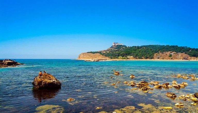 🏞️ طبرقة... "جوهرة خضراء" تحت أكوام القمامة!