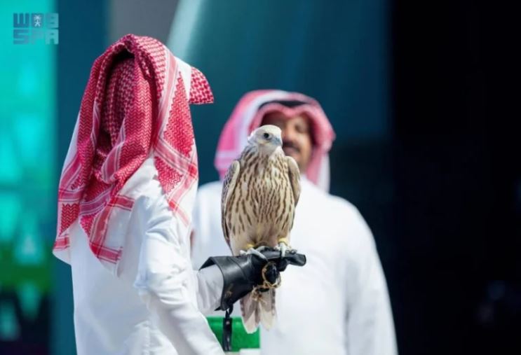 صقر حر يحقق رقمًا قياسيًا في مزاد الصقور السعودي