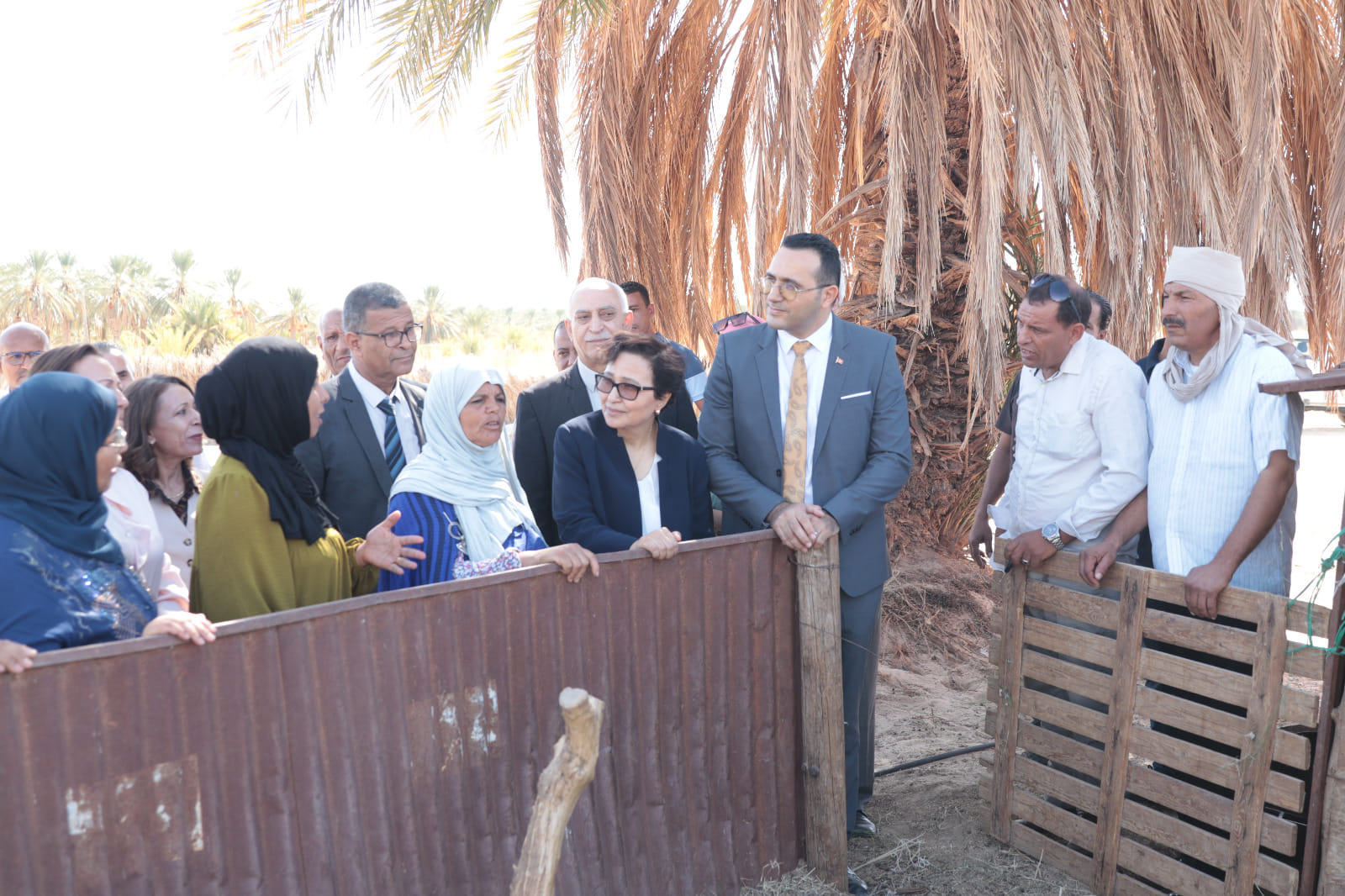 الوزيرة أسماء الجابري في توزر: دعم غير محدود للمشاريع النسائيّة ومشاريع تربية الماشية تفتح آفاقًا جديدة