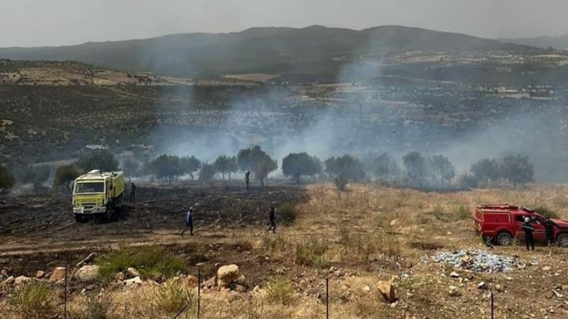 حرائق متجددة تهدد غابات جندوبة: حريق ثالث في يوم واحد يلتهم هكتارين من الزياتين