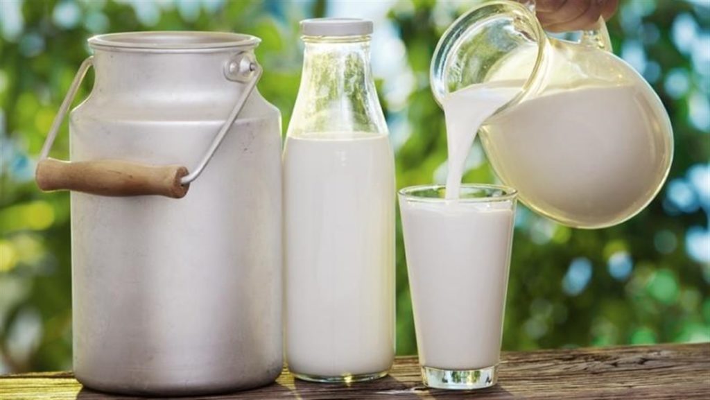 نقص الأعلاف يُهدّد إنتاج الحليب واللحوم في تونس: الفلاحون يناشدون توفير الحبوب لضمان الإنتاج الغذائي