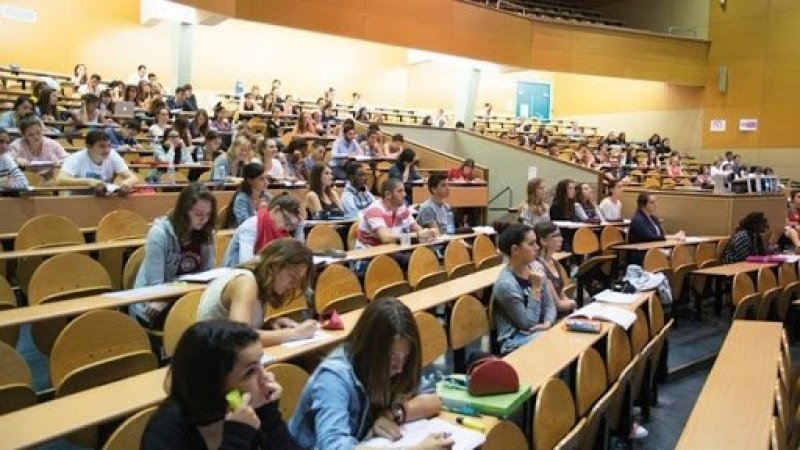 جامعات تونس تتألق في التصنيف العربي لعام 2024