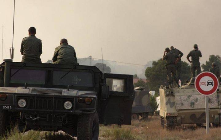 القصرين- اشتباكات بين الجيش الوطني ومجموعة إرهابية بمنطقة ''الثماد'' في سبيبة