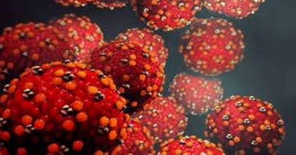 إنفلونزا الطماطم: انتشار فيروس جديد قادم من الهند
