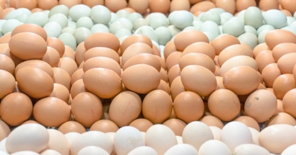 تزويد السوق بـ24 مليون بيضة خلال شهر رمضان