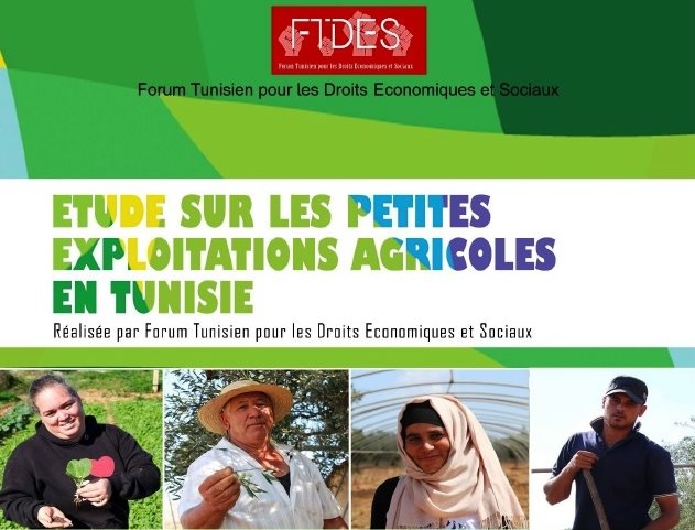 تونس: إطلاق دراسة حول المستغلات الفلاحية الصغرى 