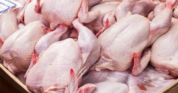 إنخفاض أسعار الدجاج بداية من اليوم