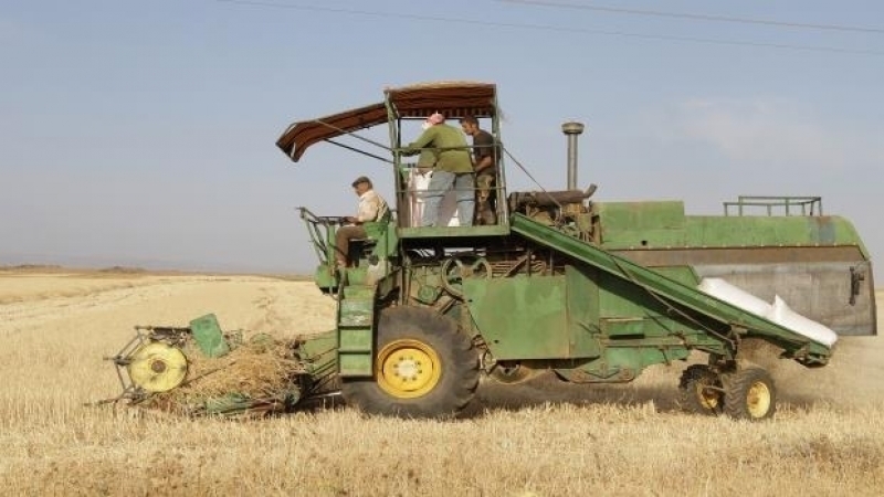 انطلاق موسم الحصاد في سيدي بوزيد