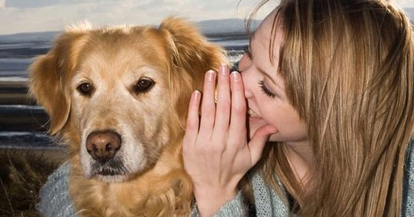 دراسة : النساء أكثر قدرة على فهم الكلاب من الرجال!