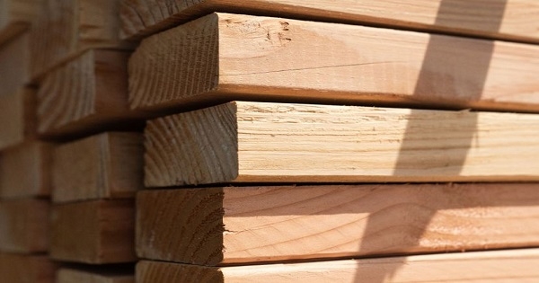 تونس : إرتفاع أسعار الخشب إلى حوالى 3 أضعاف