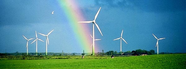  المؤسسات الالمانية مهتمة بسوق طاقة الرياح في تونس