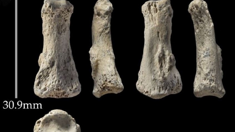 السعودية: إكتشاف أقدم عظام بالشرق الأوسط عمرها 90 ألف سنة