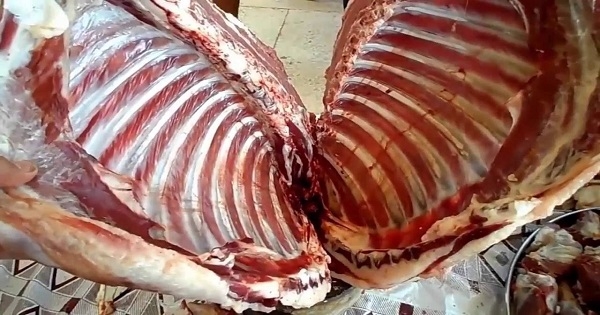 سعر كلغ من لحم الخروف قد يصل إلى 50 دينارا