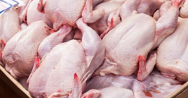 إتفاق رسمي على التخفيض في أسعار الدجاج
