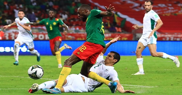 هل تستبعد الكاميرون؟ .. حلم الصعود لكأس العالم يعاود الجزائر
