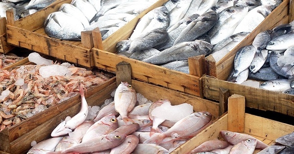 وزارة التجارة تحدد هامش ربح أقصى لتوزيع منتجات الصيد البحري بالتفصيل في حدود 25 %