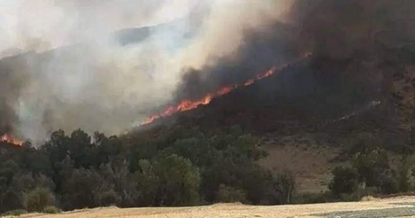 طبرقة: اندلاع حريق بجبل 'بريرم'