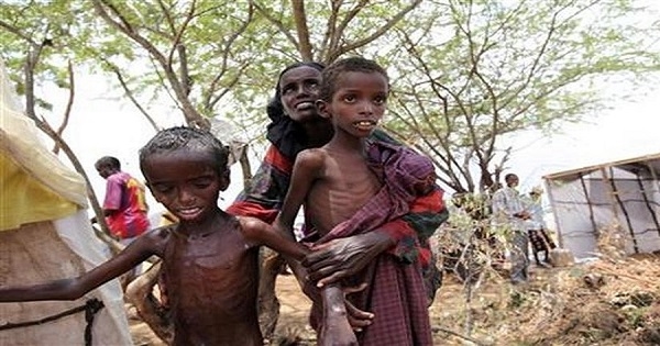 صندوق النقد الدولي: حرب أوكرانيا ستتسبب في مجاعة بإفريقيا