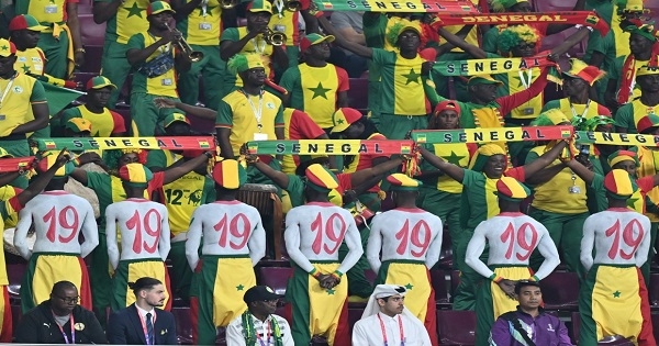 كأس العالم 2022.. سر الرقم 19 في مباراة السنغال والإكوادور (صور)
