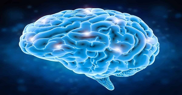 علماء يكشفون عن 7 عادات سيئة تدمر الدماغ