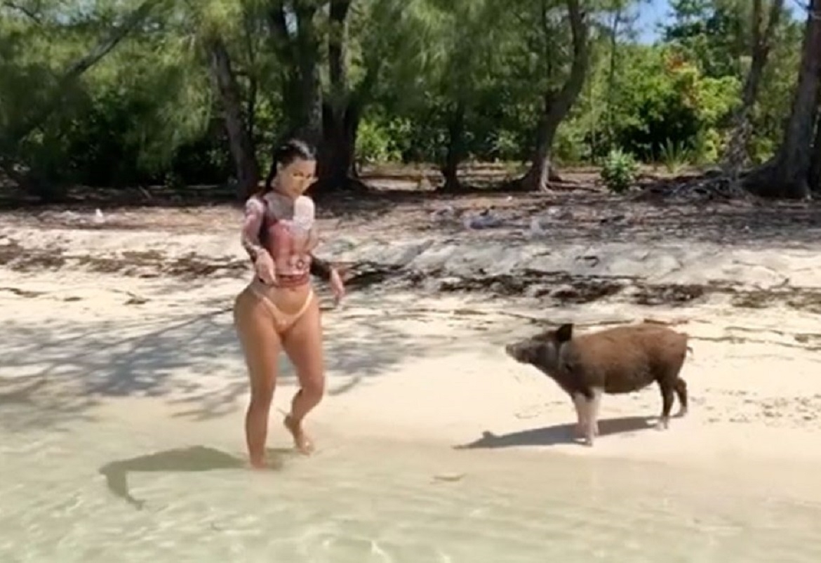 كيم كاردشيان بالبكيني تركض خائفة من الخنازير في الباهاماس