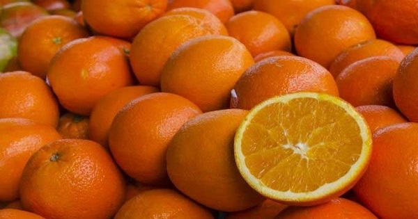 إعادة حاويتين محملتين بحوالي 45 طنا من البرتقال المالطي إلى تونس