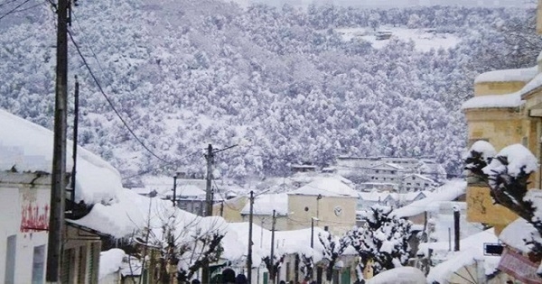 صور: الثلوج تزين مدينة عين دراهم