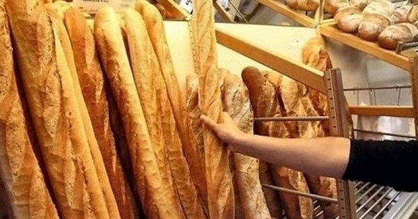 الخبز غير متوفر في المخابز بداية من الغد... انذار اخر خطير لازمة اقتصادية عميقة