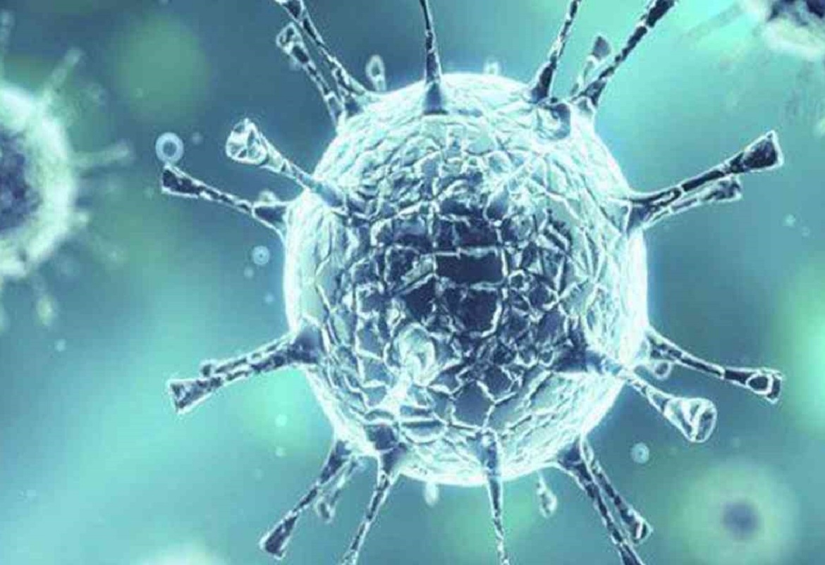 عالم أمريكي يكشف موعد الموجة الثانية لفيروس كورونا