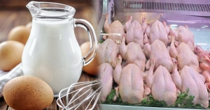 Tunisie : Une augmentation des prix des œufs, du lait et des volailles le 12 Mai