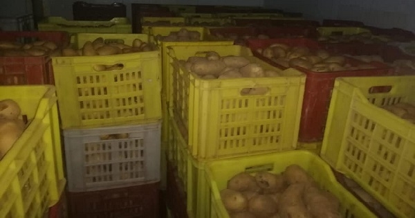 La douane tunisienne annonce la saisie de 70 tonnes de pommes de terre, stockées contrairement aux procédures légales.
