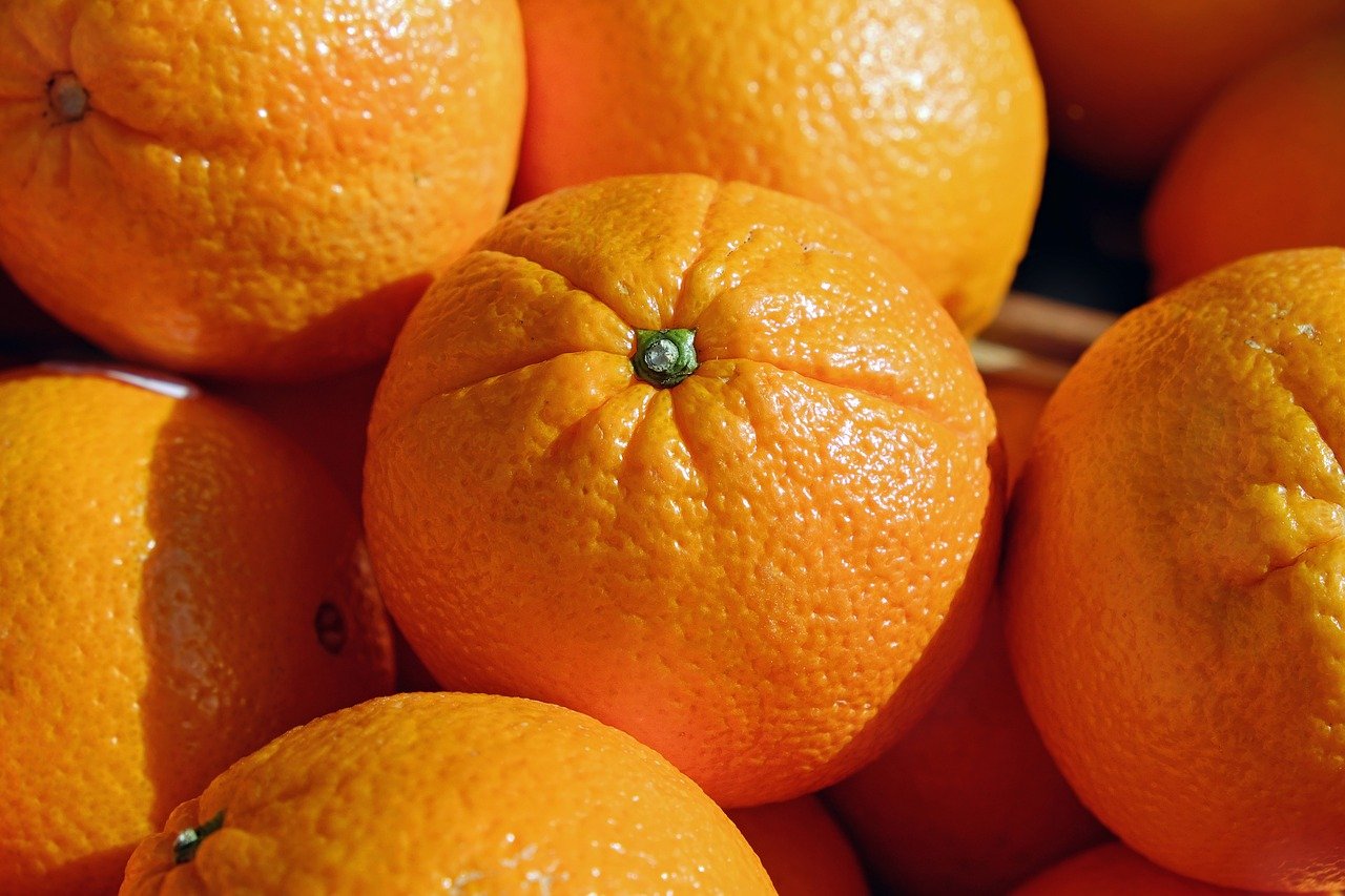 انطلاق موسم تصدير البرتقال المالطي التونسي: تحفيز الجودة والترويج العالمي