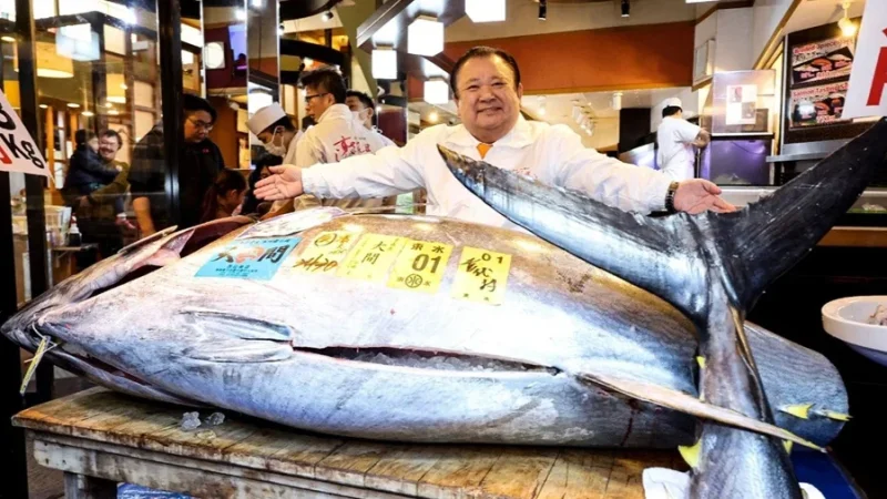 مليونيرات السوشي في صراع على التونة: بيع أغلى سمكة في العالم بـ3.2 مليون دولار في طوكيو