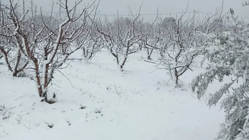 ساقط الثلوج في تالة يوقظ المخاوف من عزل المواطنين ويجهز السلطات للطوارئ