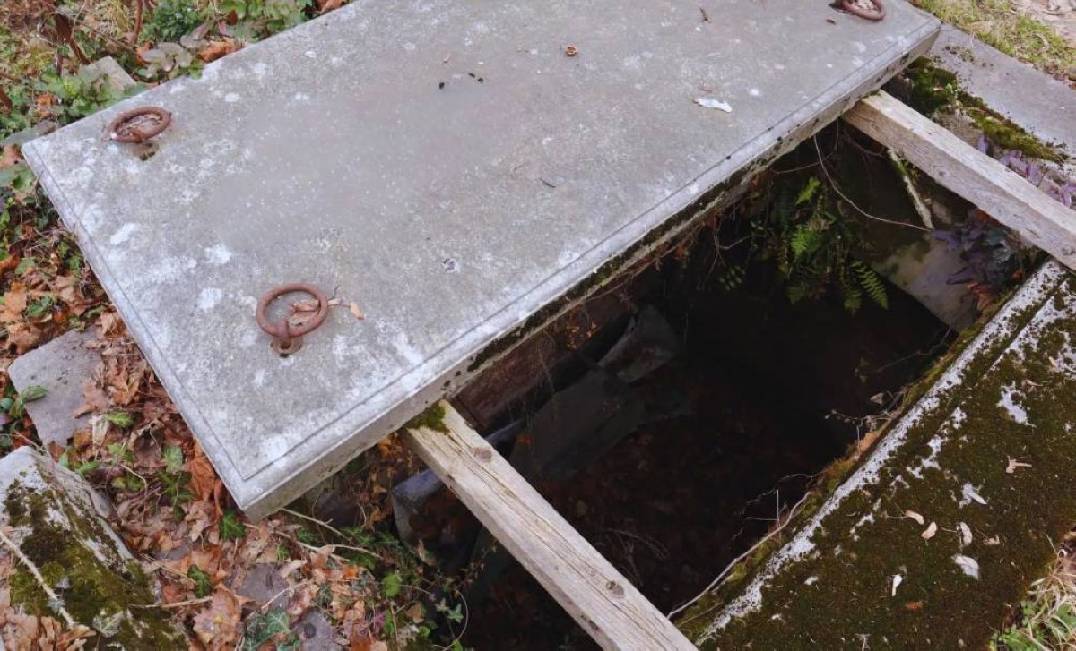 اكتشاف قبور محاربين من النخبة في هنغاريا يفتح نافذة على القرن العاشر الميلادي