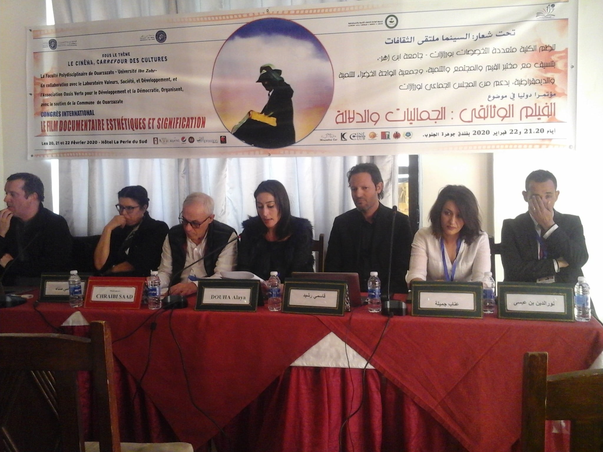 النظري و الجمالي الابداعي في تجربة الفنانة الدكتورة ضحى علية 