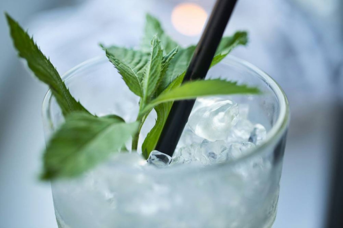 النعناع يخدع الدماغ: سرّ البرودة المفاجئة بعد شرب الماء وتطبيقات تمتد من الرياضة إلى تخفيف الألم