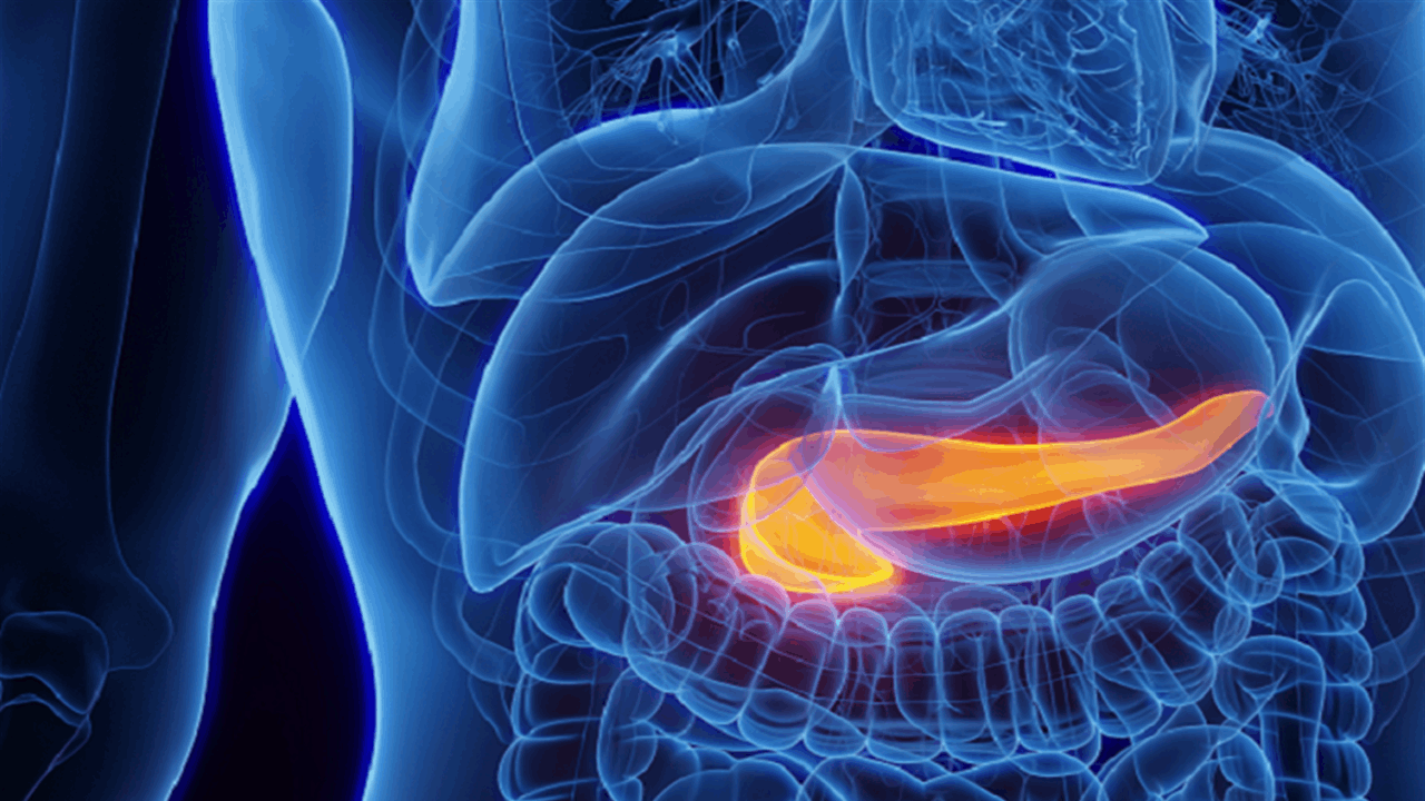 خطر صامت في قوارير الماء: البلاستيك الدقيق يعطّل البنكرياس ويهدد الصحة