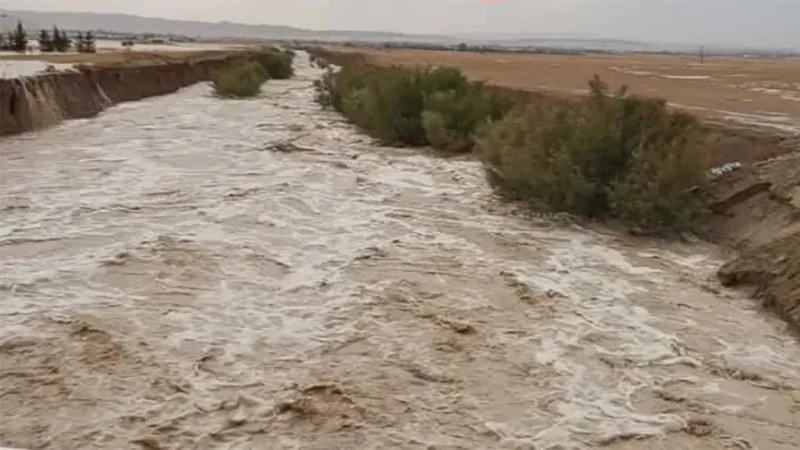 بوعرقوب تغرق واستغاثات السكان بلا استجابة… اتحاد الفلاحة يطالب بتفعيل لجنة الكوارث