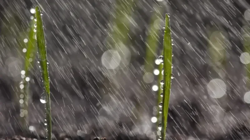 سد وادي الرمل بسوسة يسجل ارتفاعًا قياسيًا… 30 مليون متر مكعب مياه بعد الأمطار الأخيرة